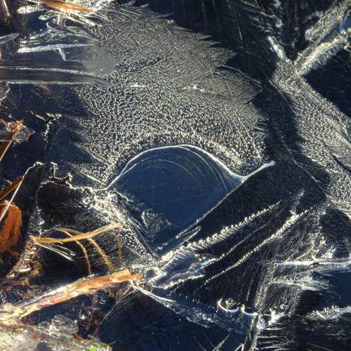 Photo #13544337