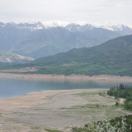 Photo #13544383