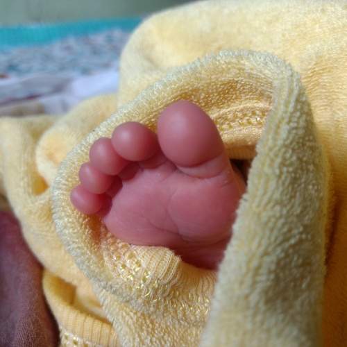 Wrapped in Warmth.