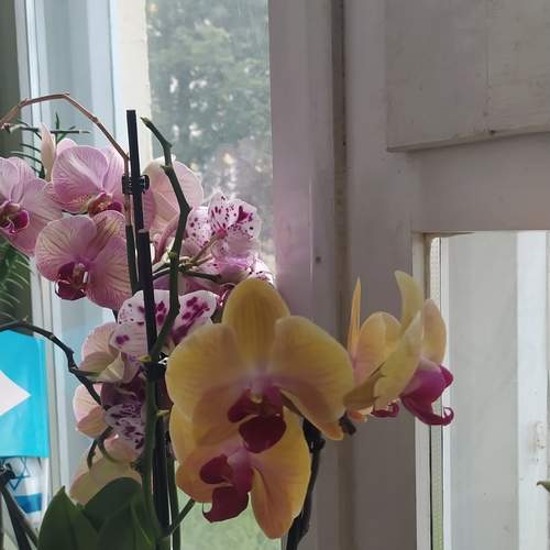 Photo #13544550