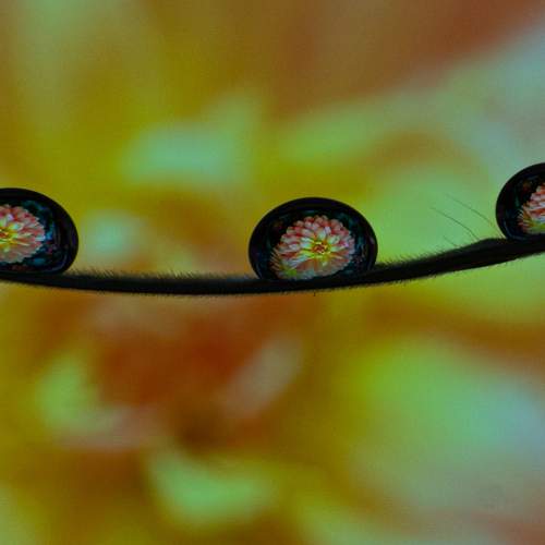 Photo #13544610