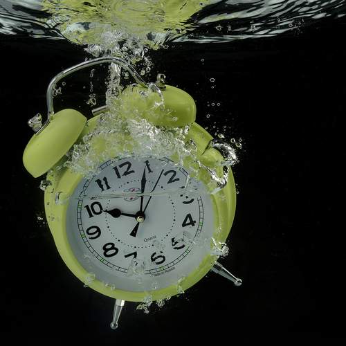 Photo #13544636
