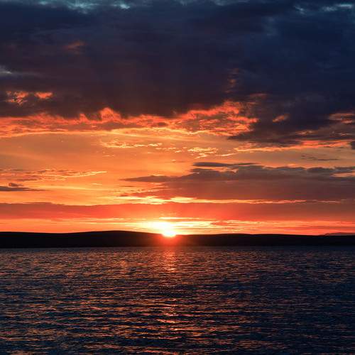 Photo #13544655