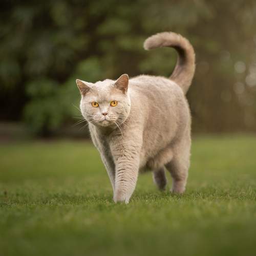 Photo #13544704