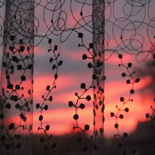 Photo #13544721