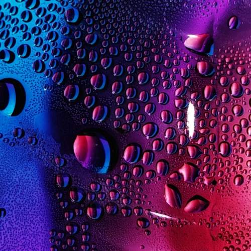 Photo #13544780