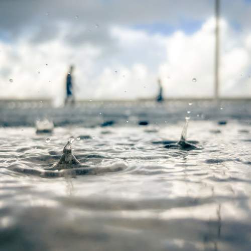 Photo #13544795
