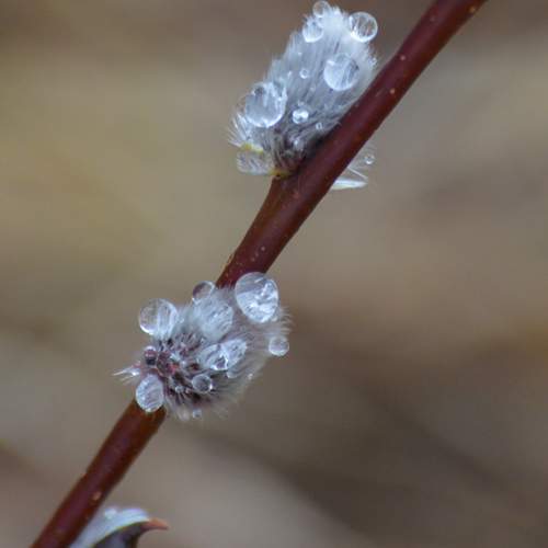 Photo #13544860