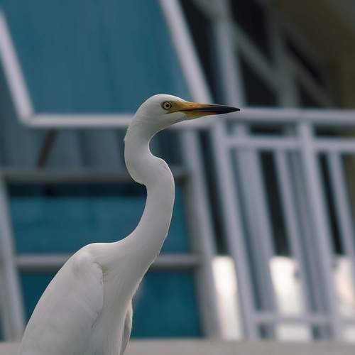 Photo #13544975