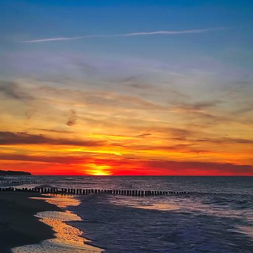 Photo #13545005
