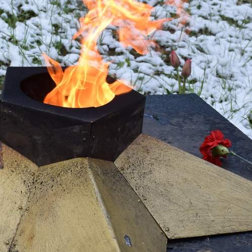 Photo #13545006