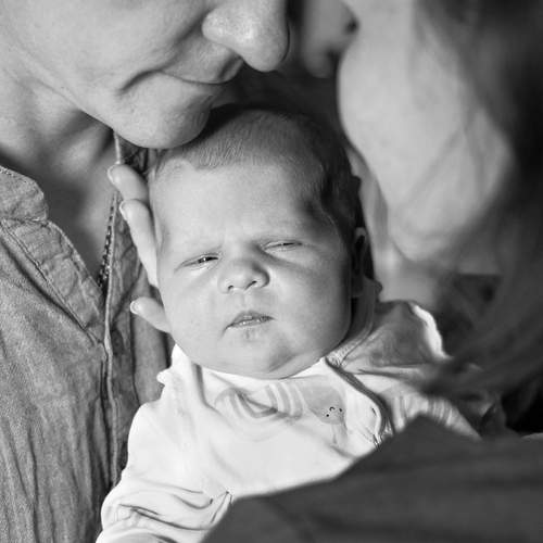 Photo #13545011