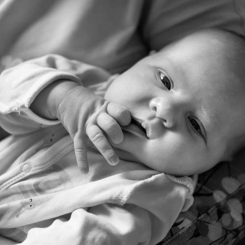 Photo #13545012