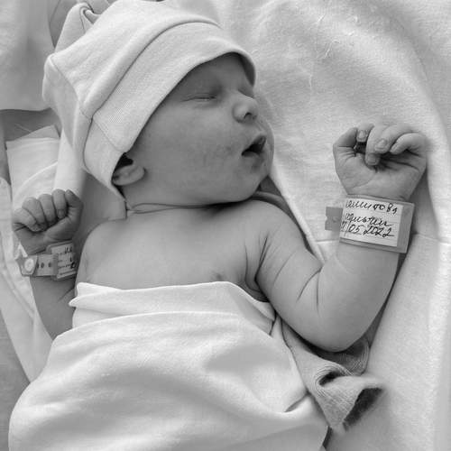 Photo #13545037