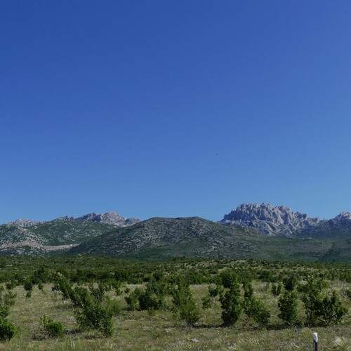 Photo #13545054
