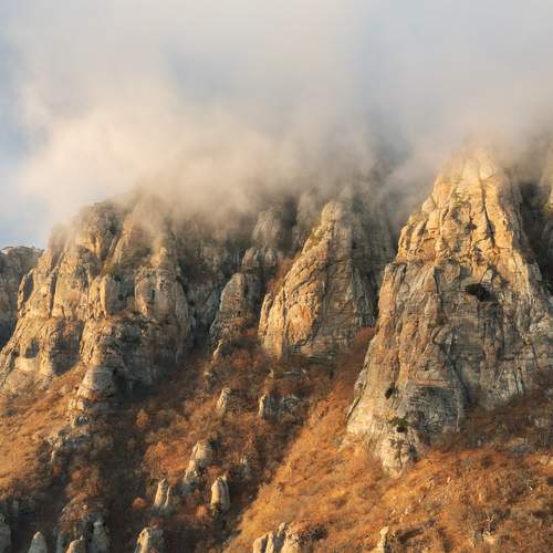Photo #13545247