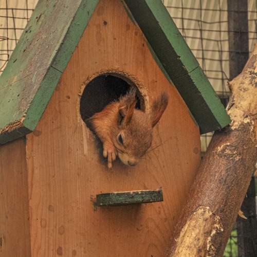 Photo #13545266