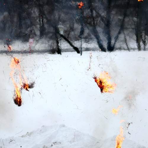 Photo #13545301