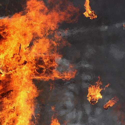 Photo #13545302