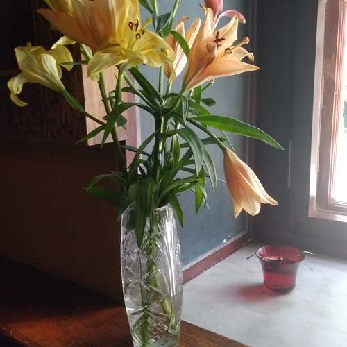 Photo #13545313