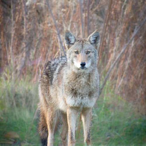 Photo #13545392