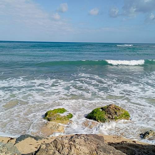 The Rhythm of the Tide.