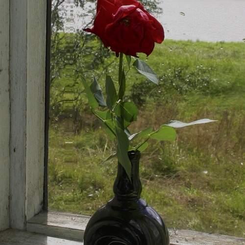 Photo #13545600
