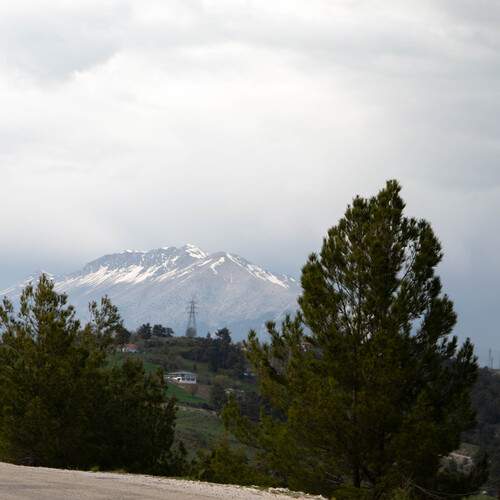 Photo #13545687