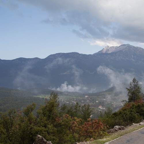 Photo #13545692
