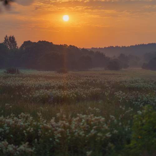 Photo #13545773