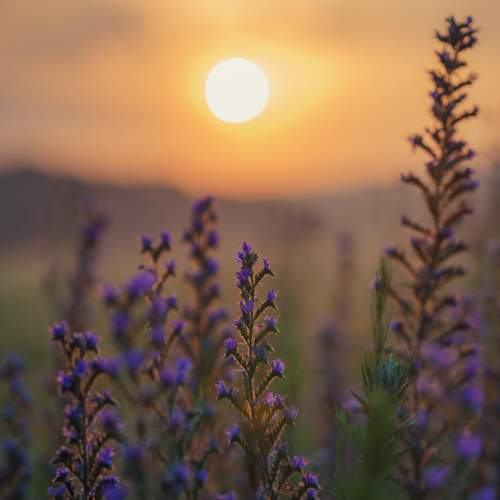 Photo #13545775