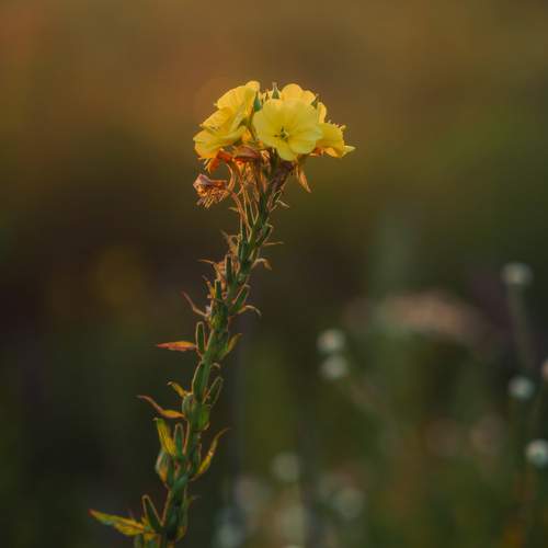 Photo #13545780
