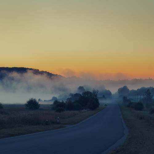 Photo #13545783