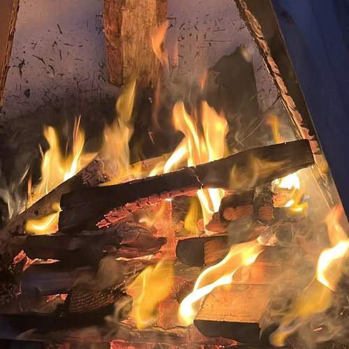 Photo #13545792