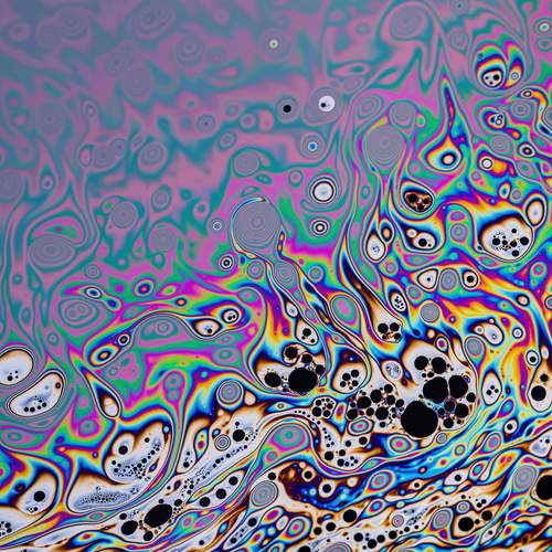 Photo #13546044