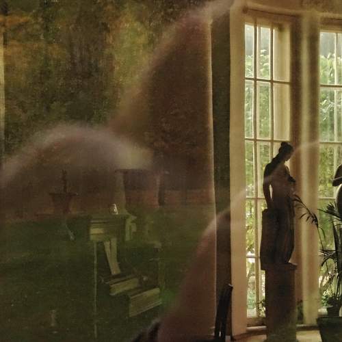 Photo #13546055