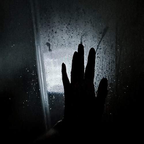 Photo #13546160
