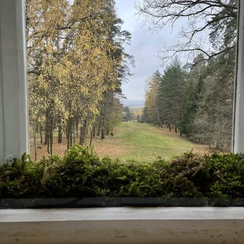 Photo #13546168