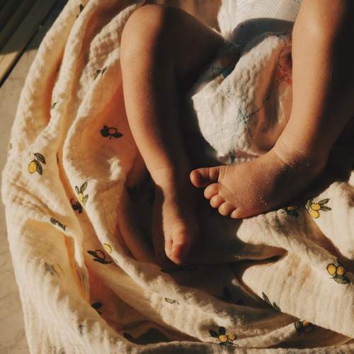 Photo #13546191
