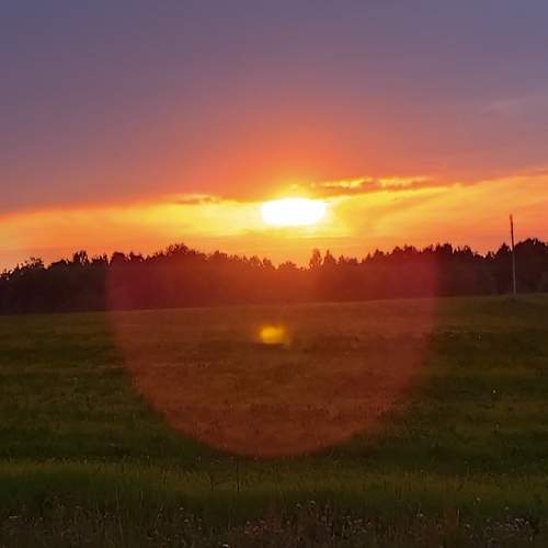 Photo #13546196
