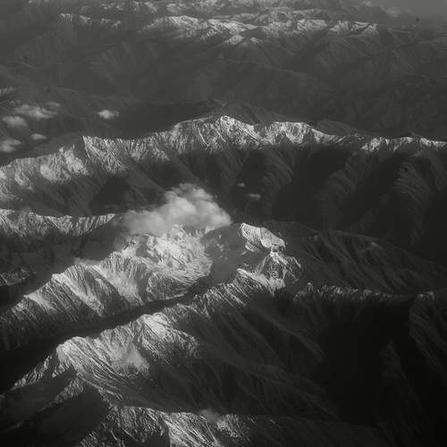 Photo #13546200