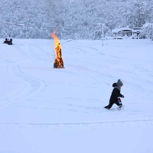 Photo #13546248