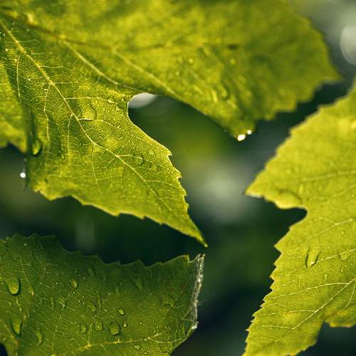 Photo #13546344