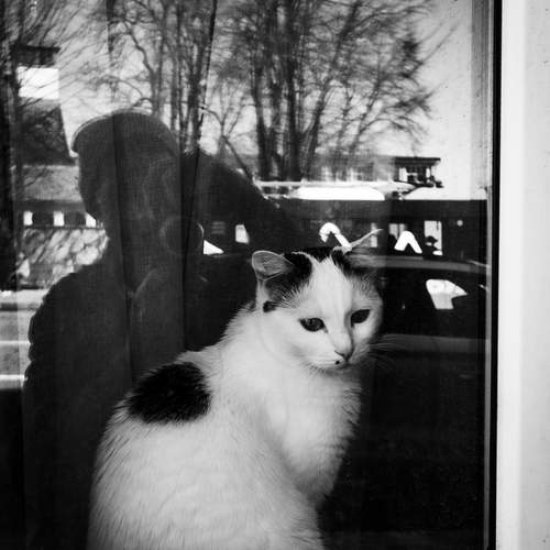 Photo #13546438