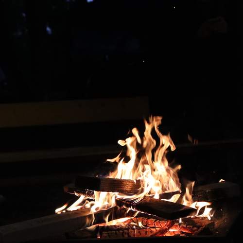 Photo #13546470