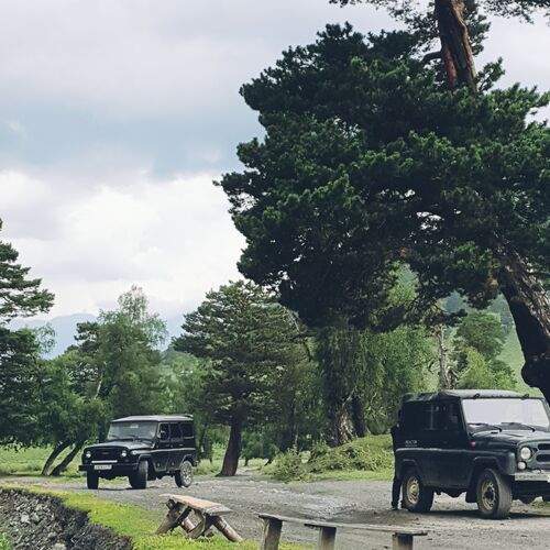 Photo #13546492