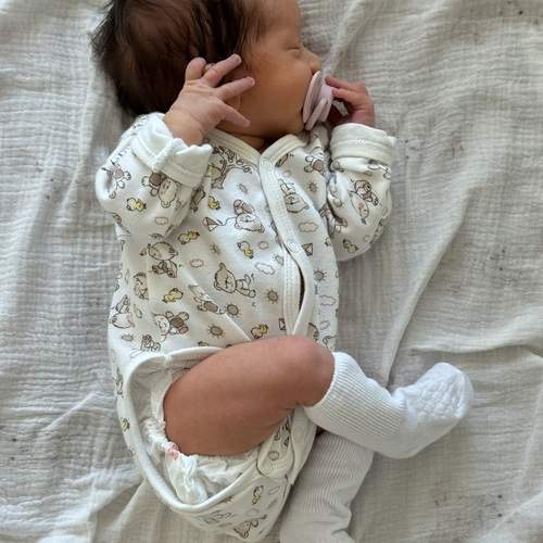 Photo #13546511