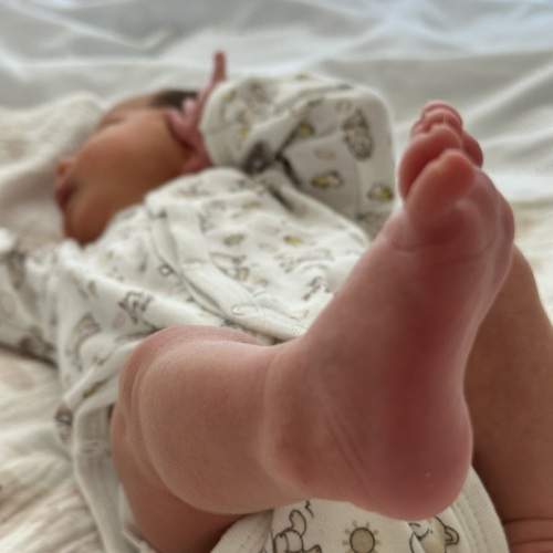 Photo #13546512