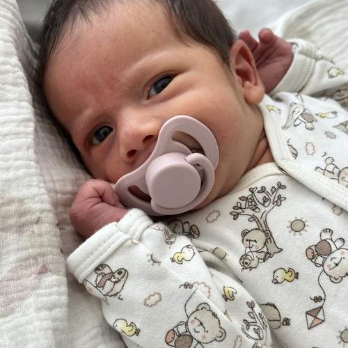 Photo #13546514