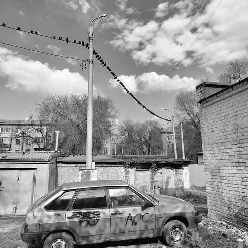 Photo #13546623